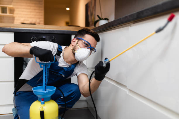 Best Pest Prevention Services  in Cheraw, SC