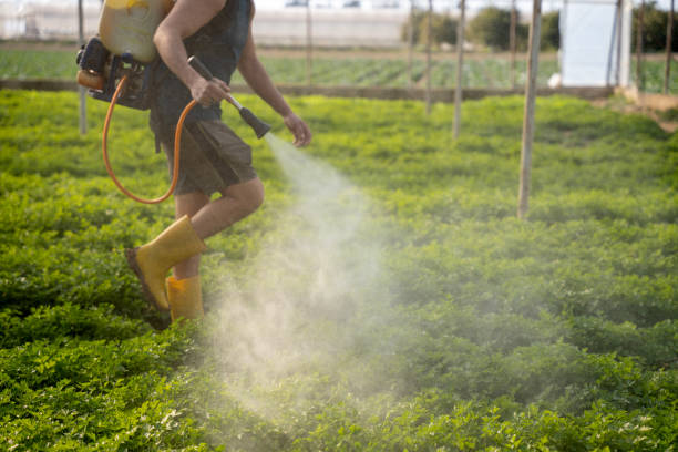 Best Commercial Pest Control Services  in Cheraw, SC